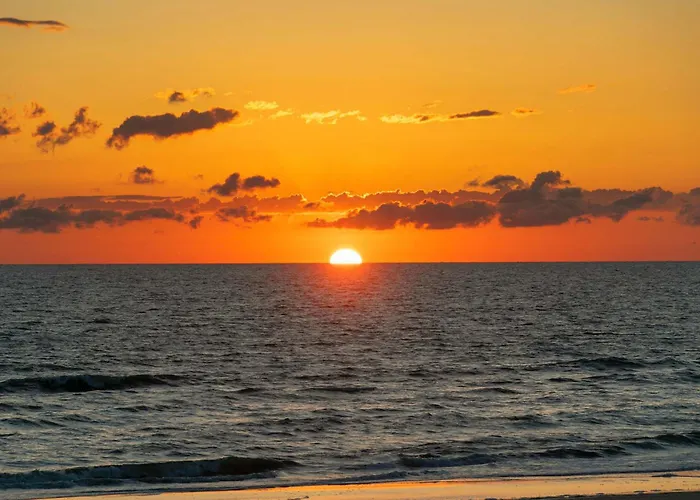 Walks On The Shores Private Front Access Clearwater Beach